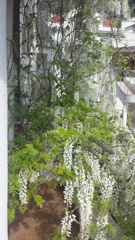 Roman Gardens Studio Apartment Risan Esterno foto
